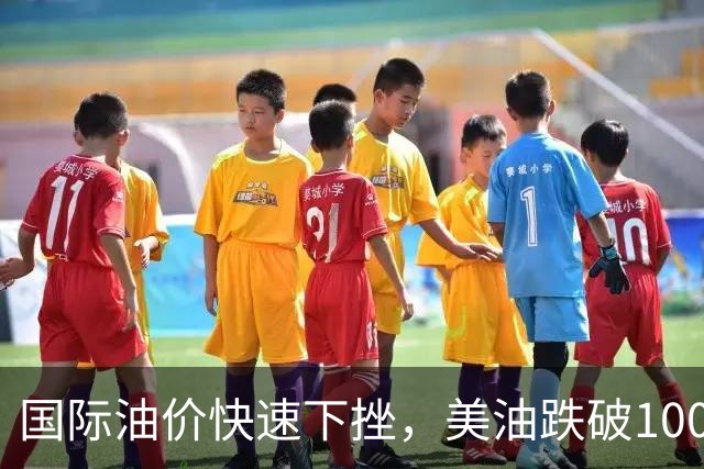 国际油价快速下挫，美油跌破100美元，黄金白银拉升，三国高官突访伊朗
