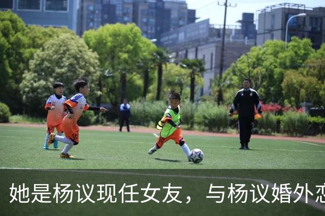 她是杨议现任女友，与杨议婚外恋17年有个儿子，曾与正妻同住一房