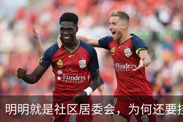 明明就是社区居委会，为何还要挂党群服务中心招牌？