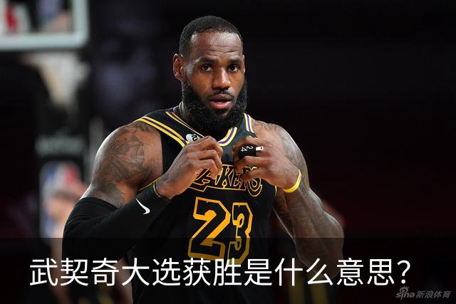 武契奇大选获胜是什么意思？