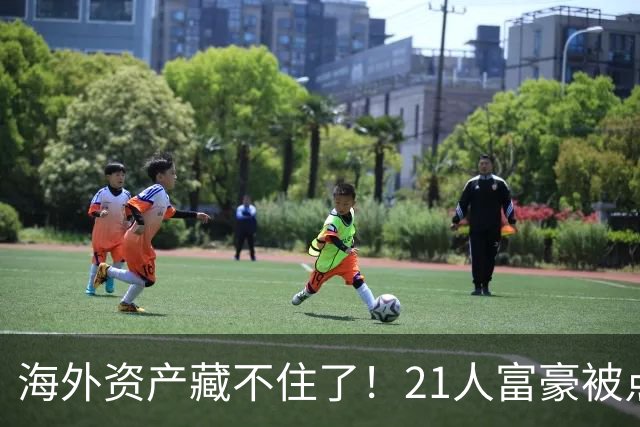 海外资产藏不住了！21人富豪被点名，离岸信托不再是避税保险箱，评论炸锅