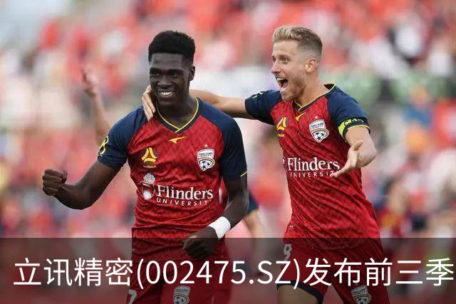 立讯精密(002475.SZ)发布前三季度业绩，归母净利润130.57亿元，同比增长13.36%