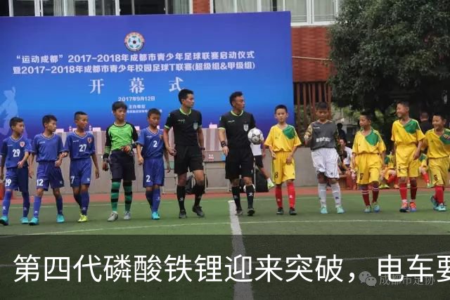 第四代磷酸铁锂迎来突破，电车要开启新一轮降价潮？