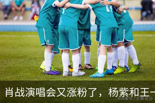 肖战演唱会又涨粉了，杨紫和王一博都被照顾了！