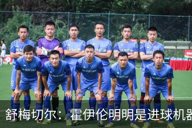 舒梅切尔：霍伊伦明明是进球机器，维韦尔来了偏要换成谢什科
