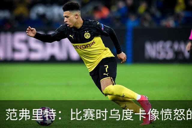 范弗里特：比赛时乌度卡像愤怒的公牛，我是沟通桥梁
