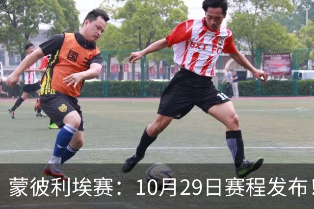 蒙彼利埃赛：10月29日赛程发布！国乒8人晋级16强，张本智和一轮游
