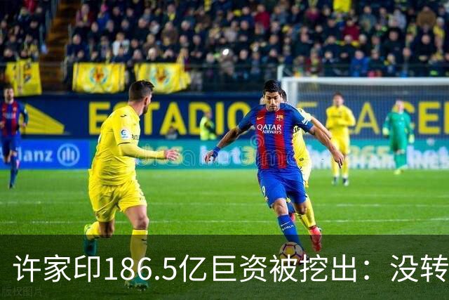 许家印186.5亿巨资被挖出：没转给丁玉梅，而是给了这位“老友”