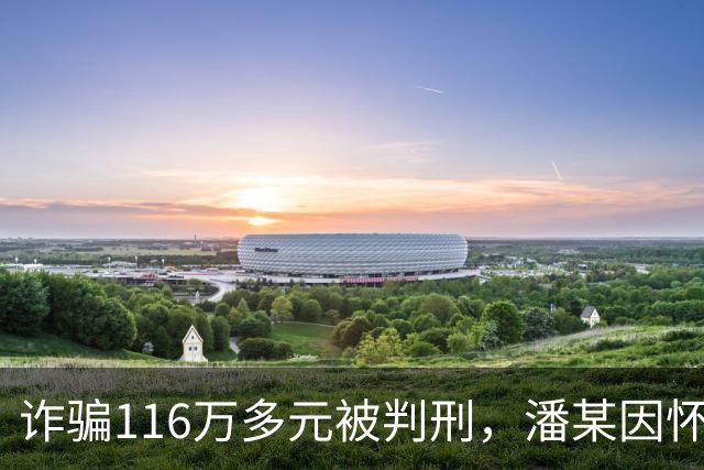 诈骗116万多元被判刑，潘某因怀孕被取保候审，线上开庭时称自己产后大出血，全程认罪悔罪，实际早已引产，最终被判十一年四个月